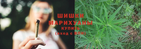 spice Лагань