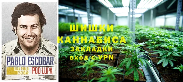 spice Лагань