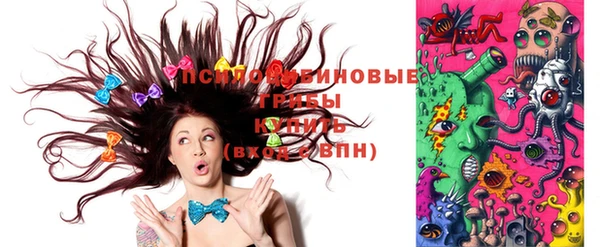 spice Лагань